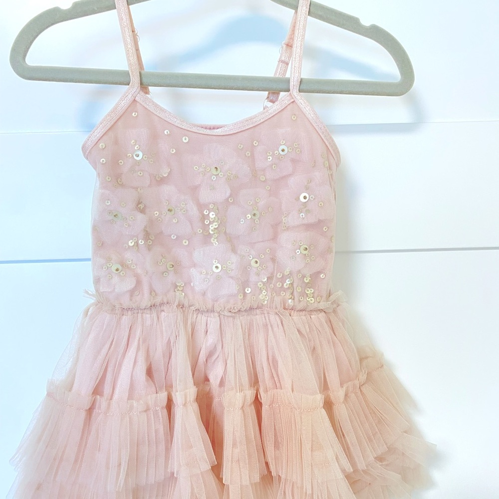 Tutu Du Monde Blush Pink Sequined Dress